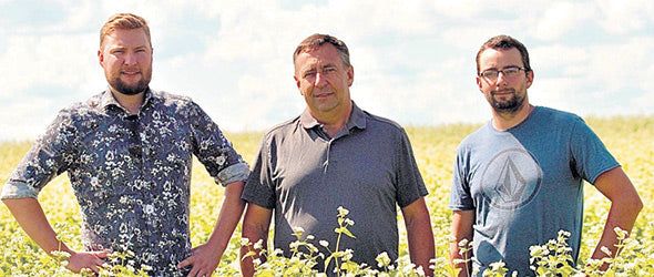 Farine de sarrasin biologique
