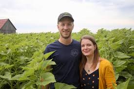 Graines de tournesol décortiquées biologiques