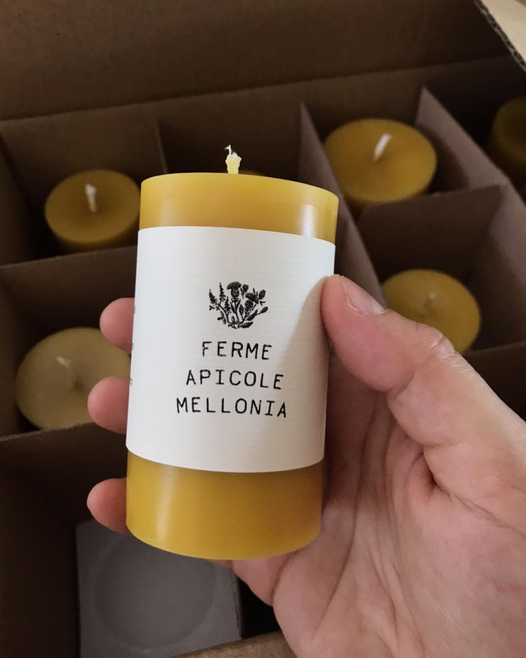 Chandelle - Ferme Apicole Mellonia