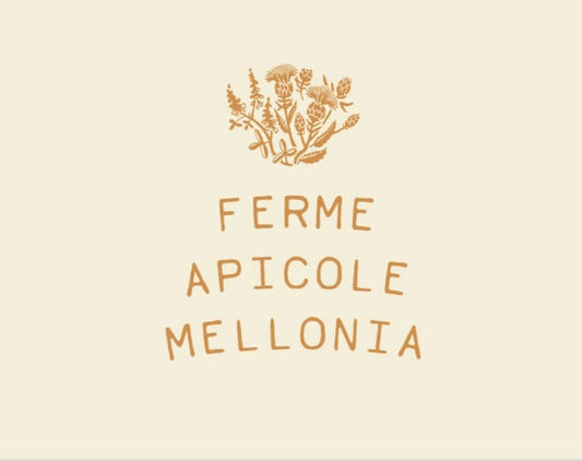 Miel biologique - Ferme apicole Mellonia