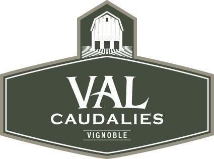 Logo Vignoble Val Caudalies